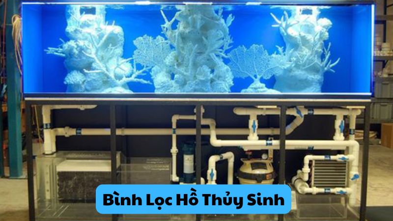 Bình Lọc Hồ Thủy Sinh